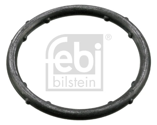 Gasket, coolant flange